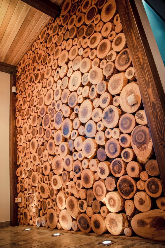 cut log wall cabin interior